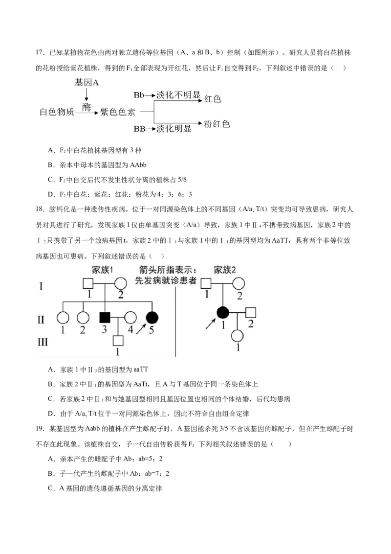 专题17自由组合（原卷版)_2024年新高考资料_3.2024专项复习_备战2024年高考生物一轮复习重难点专项突破_专题17自由组合定律