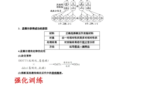 专题17自由组合（原卷版)_2024年新高考资料_3.2024专项复习_备战2024年高考生物一轮复习重难点专项突破_专题17自由组合定律