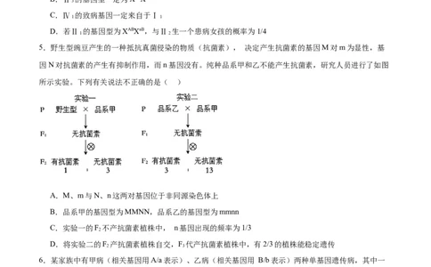 专题17自由组合（原卷版)_2024年新高考资料_3.2024专项复习_备战2024年高考生物一轮复习重难点专项突破_专题17自由组合定律