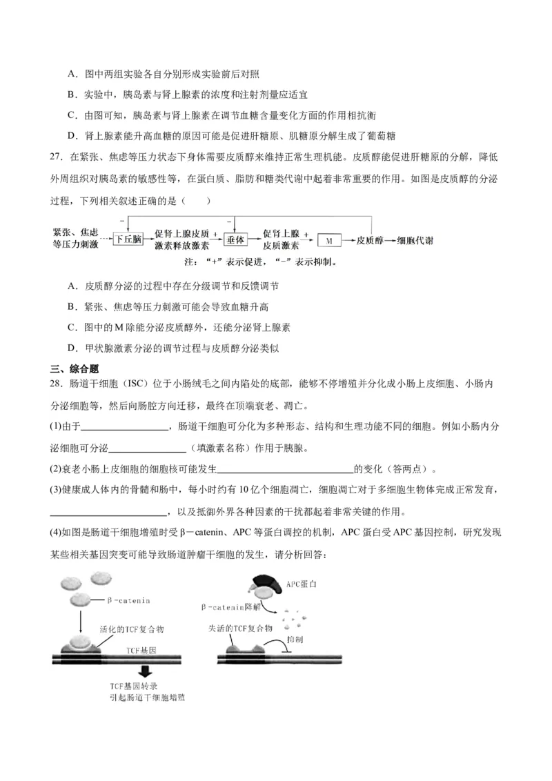 专题27体液调节（原卷版)_2024年新高考资料_3.2024专项复习_备战2024年高考生物一轮复习重难点专项突破_专题27体液调节-备战2024年高考生物一轮复习重难点专项突破