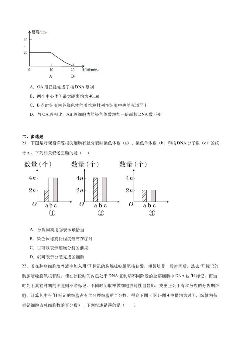 专题12细胞增殖（原卷版)_2024年新高考资料_3.2024专项复习_备战2024年高考生物一轮复习重难点专项突破_专题12细胞增殖