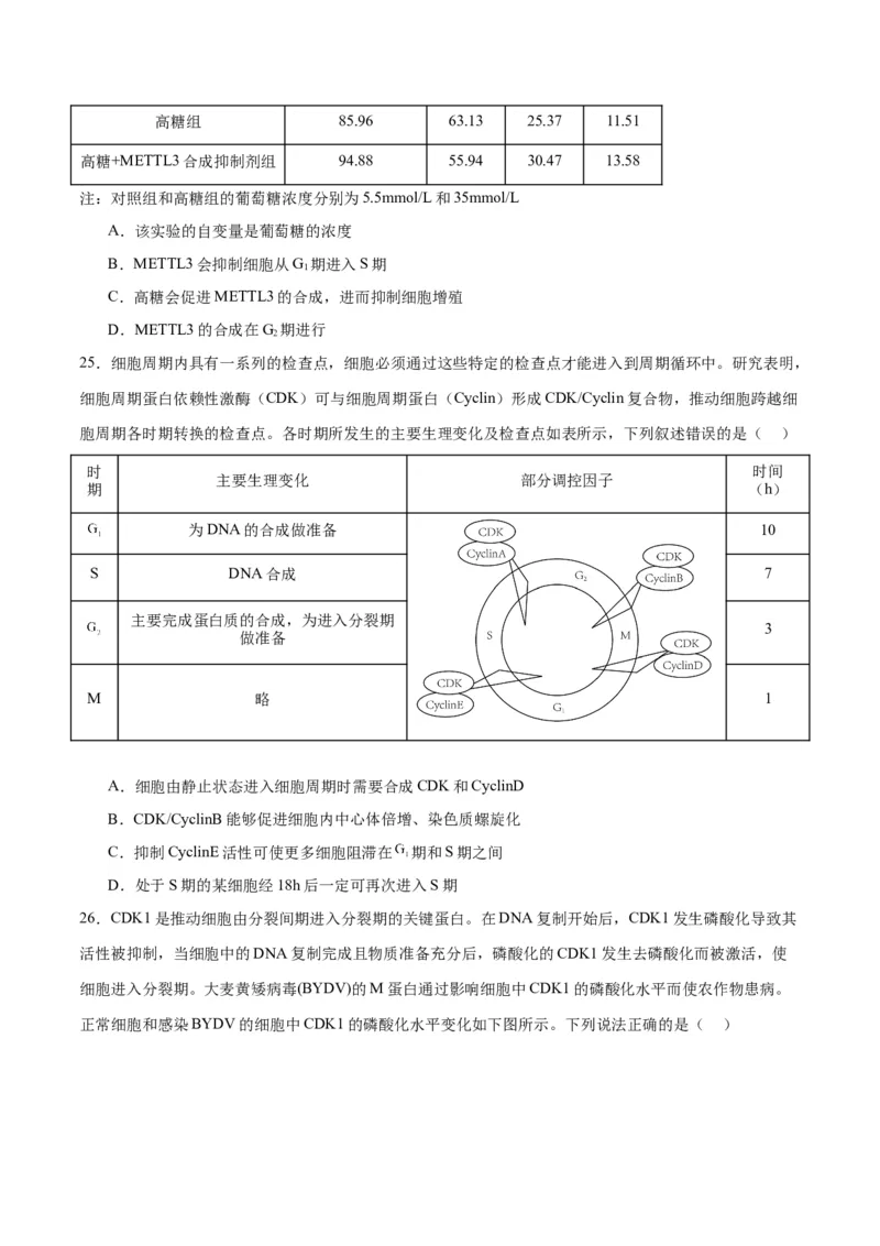 专题12细胞增殖（原卷版)_2024年新高考资料_3.2024专项复习_备战2024年高考生物一轮复习重难点专项突破_专题12细胞增殖