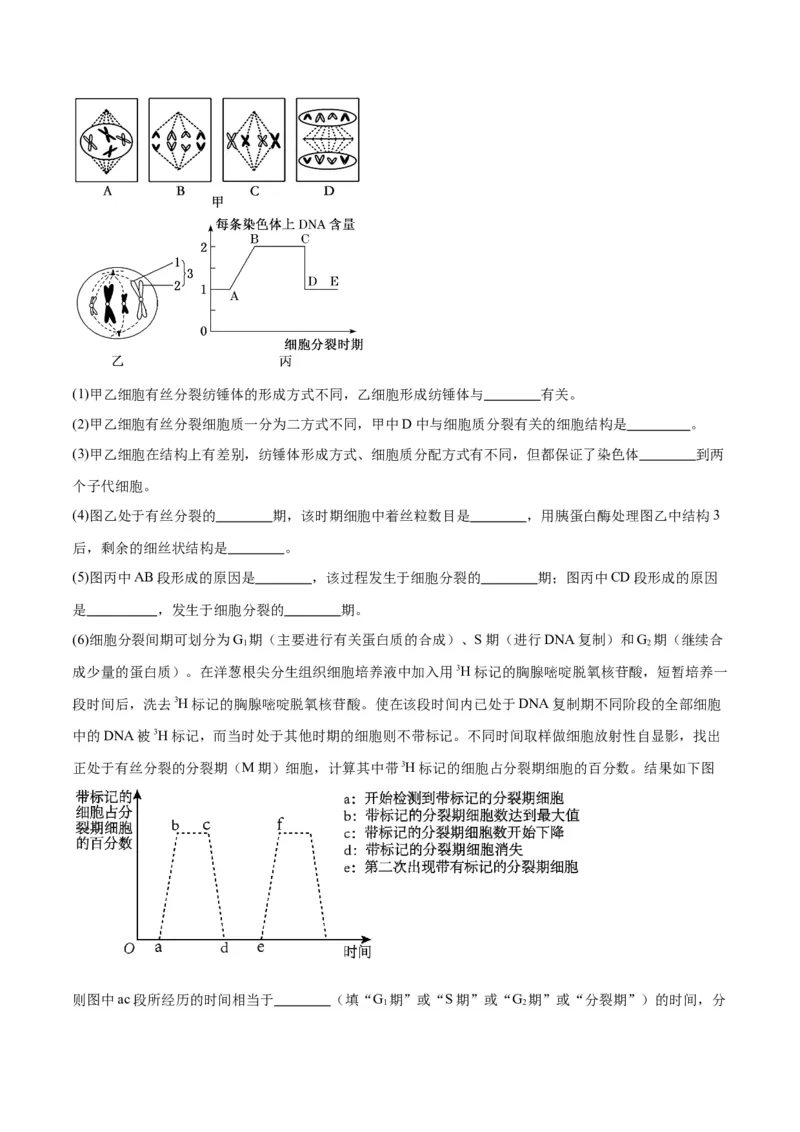 专题12细胞增殖（原卷版)_2024年新高考资料_3.2024专项复习_备战2024年高考生物一轮复习重难点专项突破_专题12细胞增殖