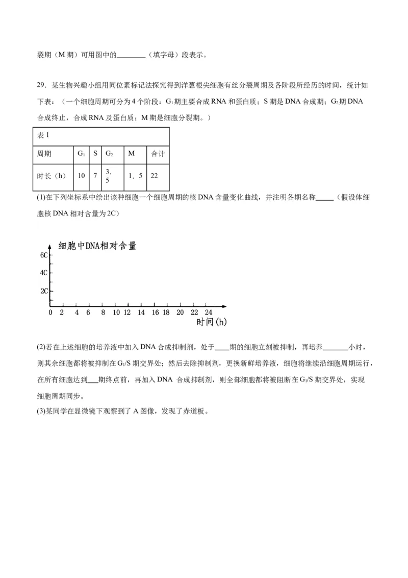 专题12细胞增殖（原卷版)_2024年新高考资料_3.2024专项复习_备战2024年高考生物一轮复习重难点专项突破_专题12细胞增殖