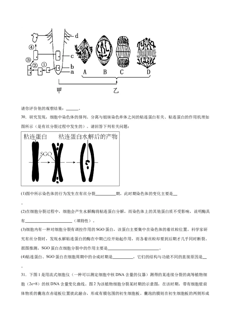 专题12细胞增殖（原卷版)_2024年新高考资料_3.2024专项复习_备战2024年高考生物一轮复习重难点专项突破_专题12细胞增殖