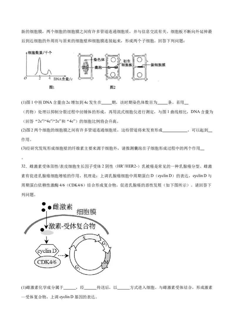 专题12细胞增殖（原卷版)_2024年新高考资料_3.2024专项复习_备战2024年高考生物一轮复习重难点专项突破_专题12细胞增殖