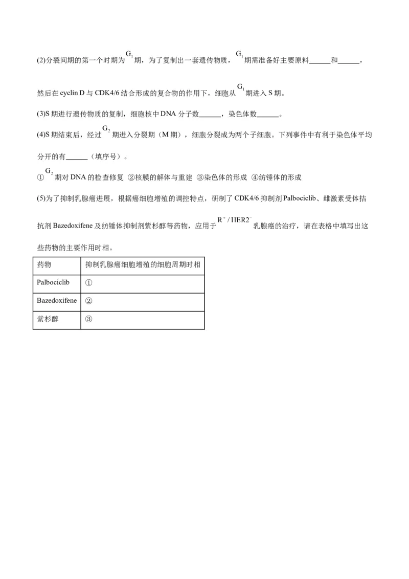 专题12细胞增殖（原卷版)_2024年新高考资料_3.2024专项复习_备战2024年高考生物一轮复习重难点专项突破_专题12细胞增殖