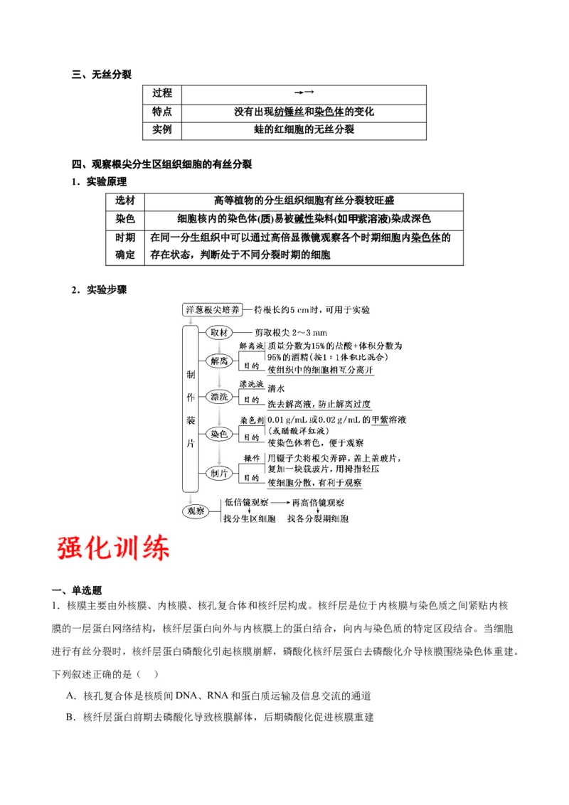 专题12细胞增殖（原卷版)_2024年新高考资料_3.2024专项复习_备战2024年高考生物一轮复习重难点专项突破_专题12细胞增殖