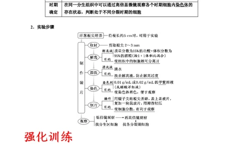专题12细胞增殖（原卷版)_2024年新高考资料_3.2024专项复习_备战2024年高考生物一轮复习重难点专项突破_专题12细胞增殖