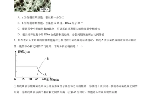 专题12细胞增殖（原卷版)_2024年新高考资料_3.2024专项复习_备战2024年高考生物一轮复习重难点专项突破_专题12细胞增殖