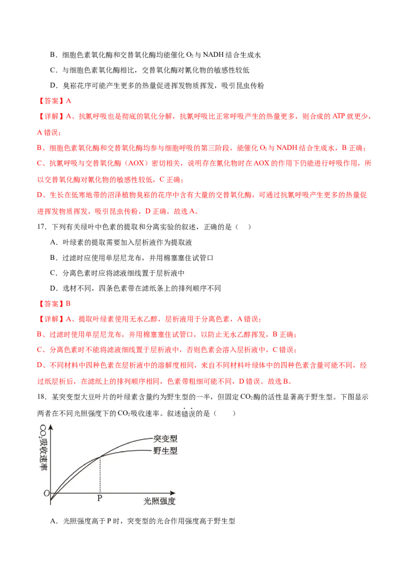 专题二细胞的能量供应和利用（测试）（解析版）_2024年新高考资料_2.2024二轮复习_2024年高考生物二轮复习讲练测（新教材新高考）
