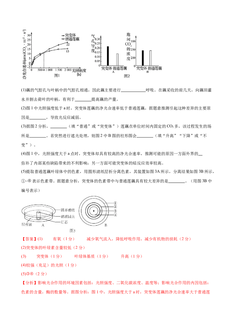 专题二细胞的能量供应和利用（测试）（解析版）_2024年新高考资料_2.2024二轮复习_2024年高考生物二轮复习讲练测（新教材新高考）