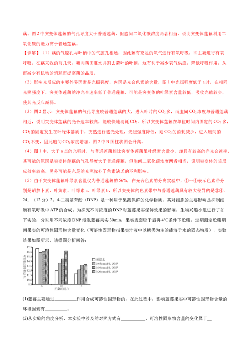 专题二细胞的能量供应和利用（测试）（解析版）_2024年新高考资料_2.2024二轮复习_2024年高考生物二轮复习讲练测（新教材新高考）
