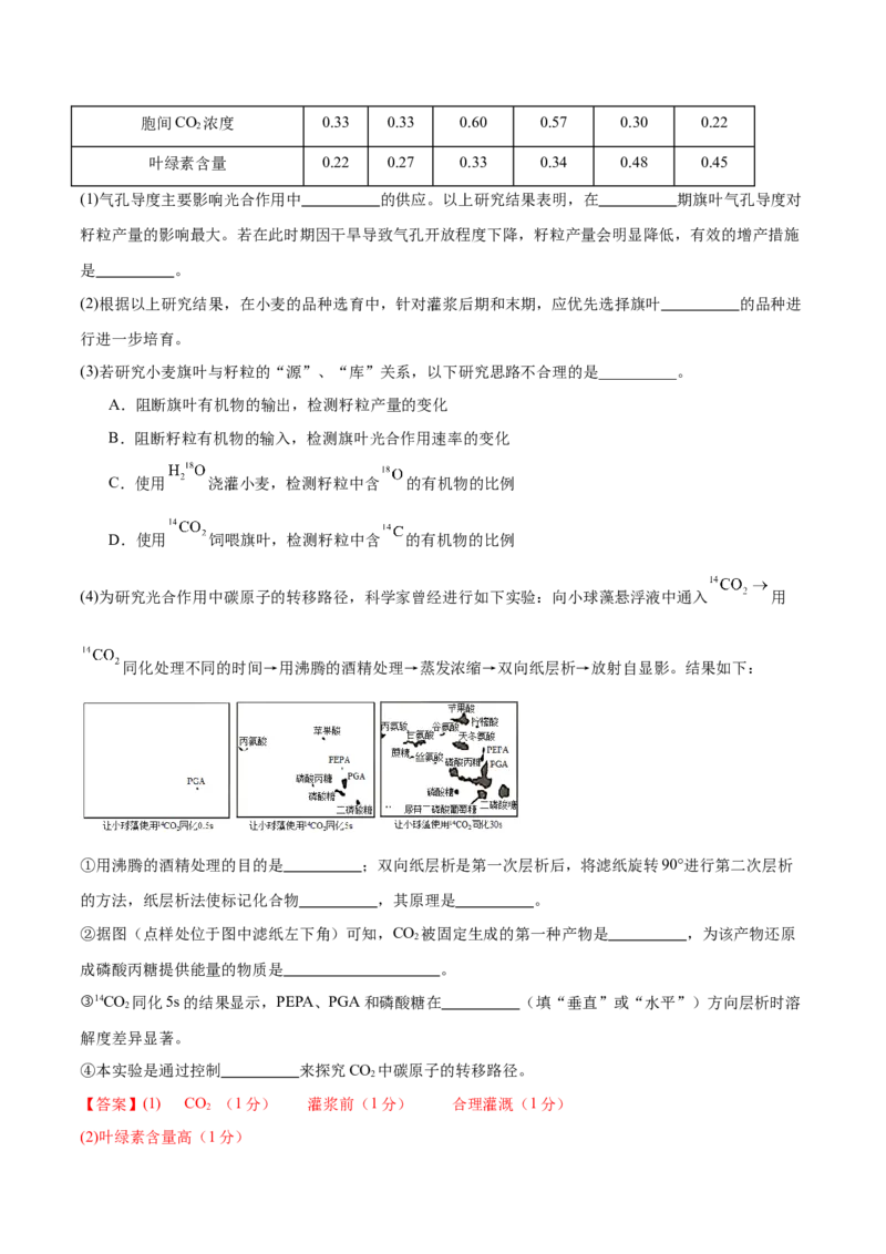专题二细胞的能量供应和利用（测试）（解析版）_2024年新高考资料_2.2024二轮复习_2024年高考生物二轮复习讲练测（新教材新高考）