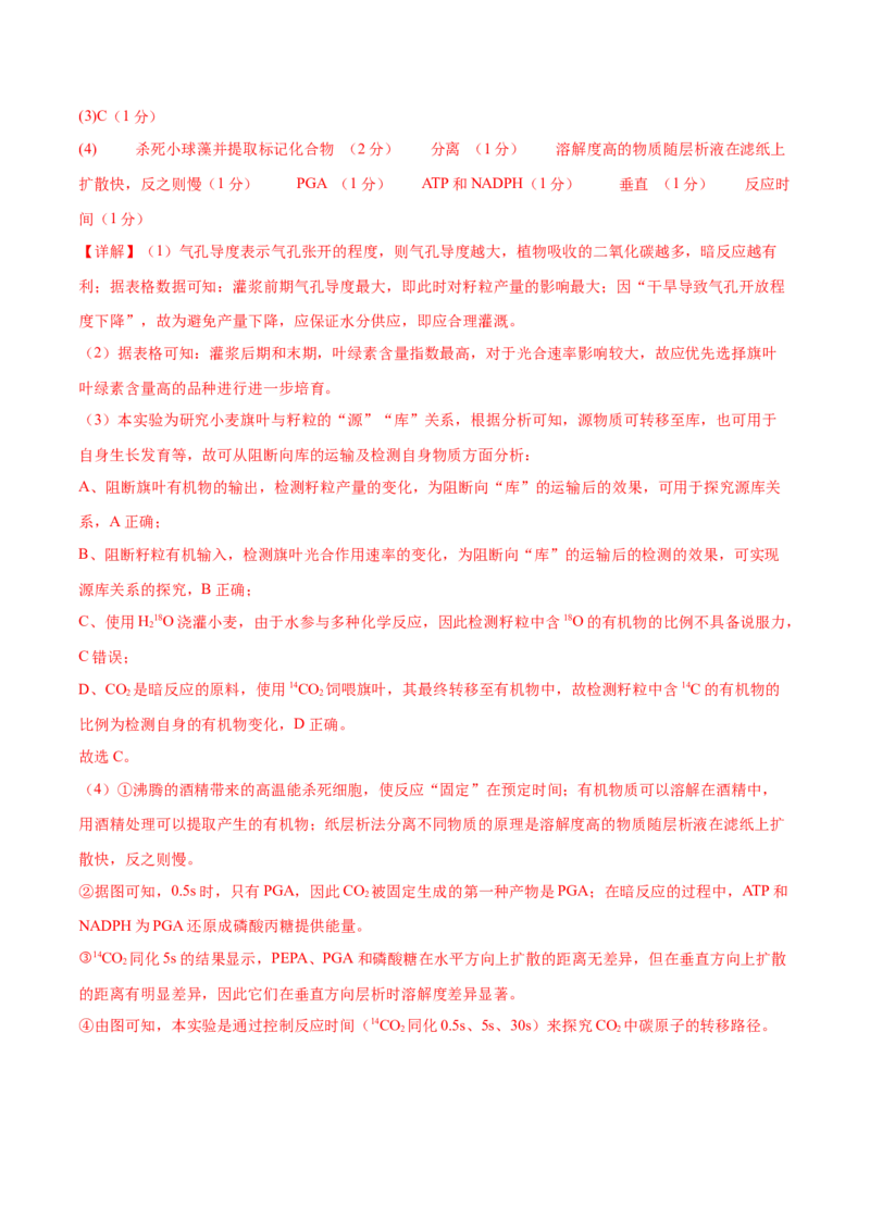 专题二细胞的能量供应和利用（测试）（解析版）_2024年新高考资料_2.2024二轮复习_2024年高考生物二轮复习讲练测（新教材新高考）