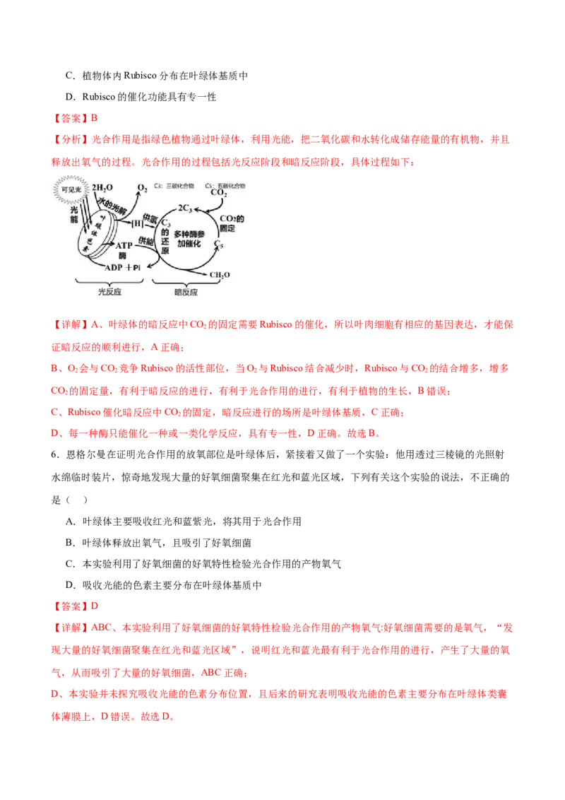 专题二细胞的能量供应和利用（测试）（解析版）_2024年新高考资料_2.2024二轮复习_2024年高考生物二轮复习讲练测（新教材新高考）