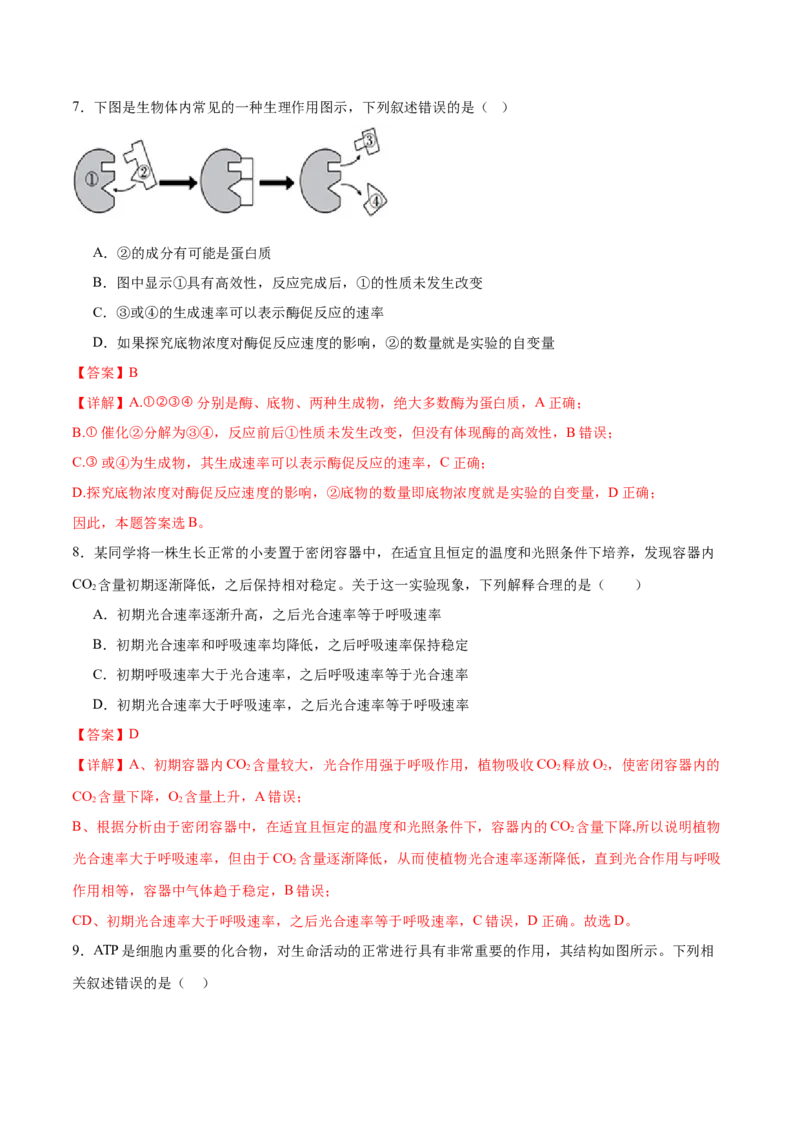 专题二细胞的能量供应和利用（测试）（解析版）_2024年新高考资料_2.2024二轮复习_2024年高考生物二轮复习讲练测（新教材新高考）
