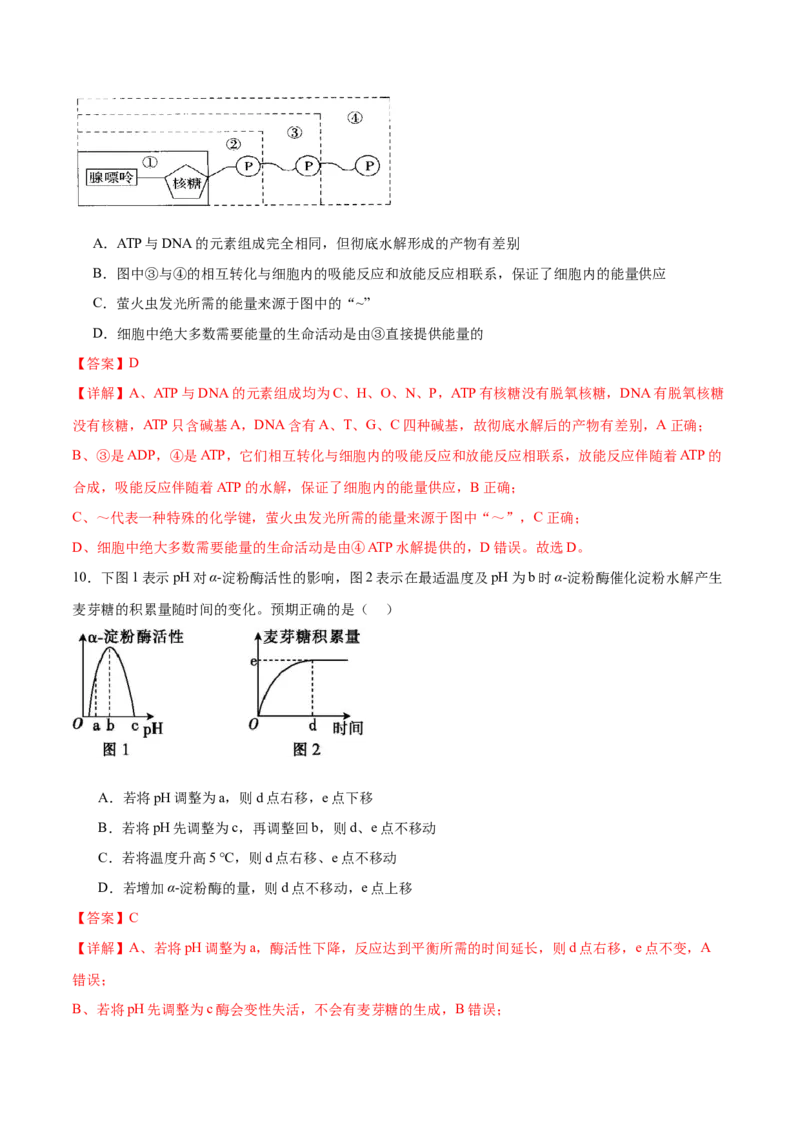专题二细胞的能量供应和利用（测试）（解析版）_2024年新高考资料_2.2024二轮复习_2024年高考生物二轮复习讲练测（新教材新高考）