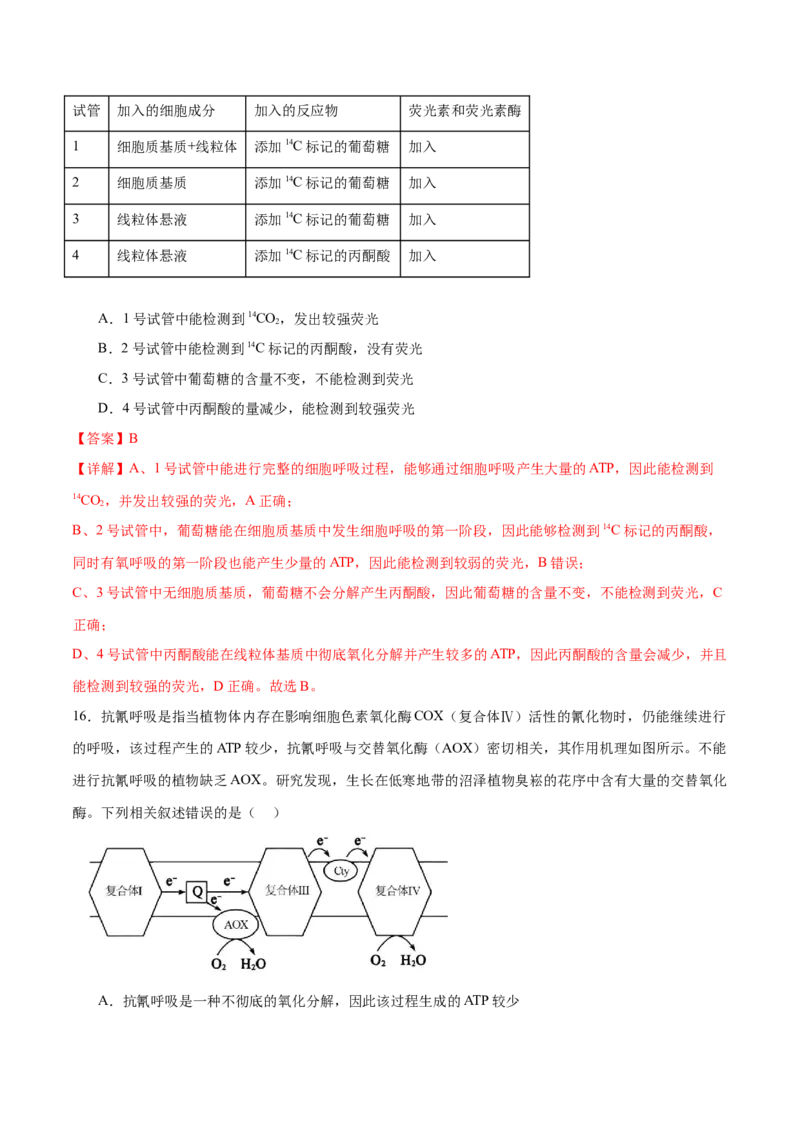 专题二细胞的能量供应和利用（测试）（解析版）_2024年新高考资料_2.2024二轮复习_2024年高考生物二轮复习讲练测（新教材新高考）