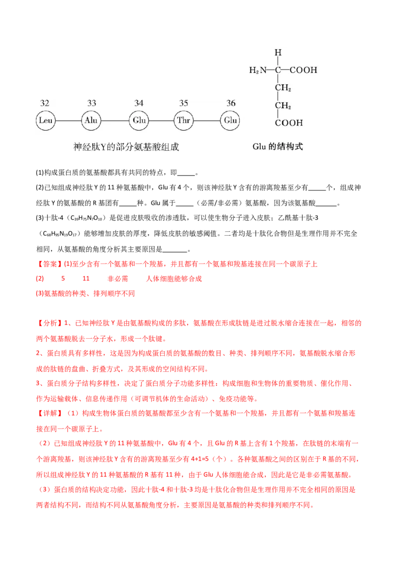 单元检测卷01细胞的概述及其组成分子（解析版）_2024年新高考资料_1.2024一轮复习_2024年高考生物一轮复习考点通关卷（新高考通用）