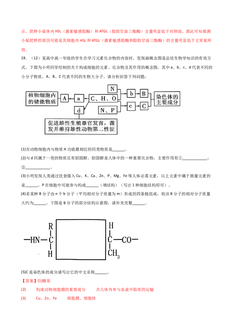单元检测卷01细胞的概述及其组成分子（解析版）_2024年新高考资料_1.2024一轮复习_2024年高考生物一轮复习考点通关卷（新高考通用）