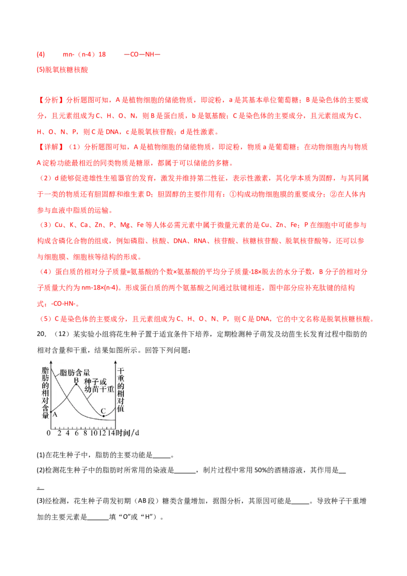 单元检测卷01细胞的概述及其组成分子（解析版）_2024年新高考资料_1.2024一轮复习_2024年高考生物一轮复习考点通关卷（新高考通用）