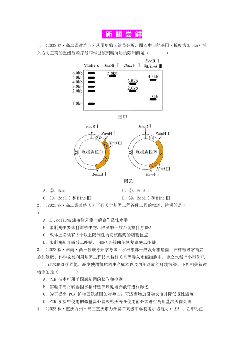 专题24基因工程（原卷版）_2024年新高考资料_1.2024一轮复习_备战2024年高考生物一轮复习抢分特训（全国通用）_专题24基因工程-备战2024年高考生物一轮复习抢分特训（全国通用）