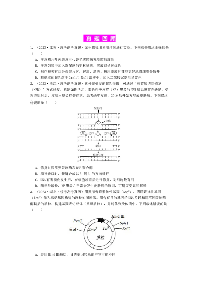 专题24基因工程（原卷版）_2024年新高考资料_1.2024一轮复习_备战2024年高考生物一轮复习抢分特训（全国通用）_专题24基因工程-备战2024年高考生物一轮复习抢分特训（全国通用）