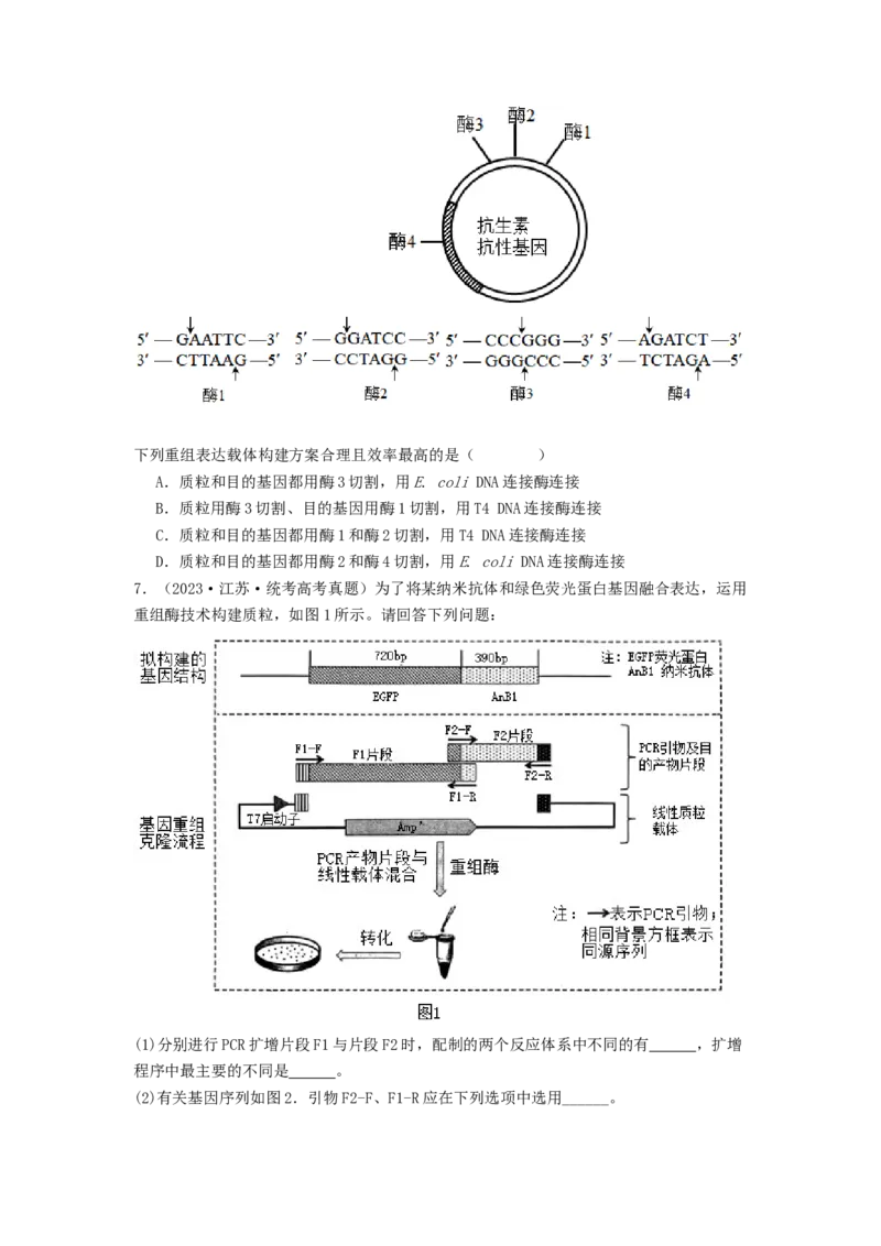 专题24基因工程（原卷版）_2024年新高考资料_1.2024一轮复习_备战2024年高考生物一轮复习抢分特训（全国通用）_专题24基因工程-备战2024年高考生物一轮复习抢分特训（全国通用）