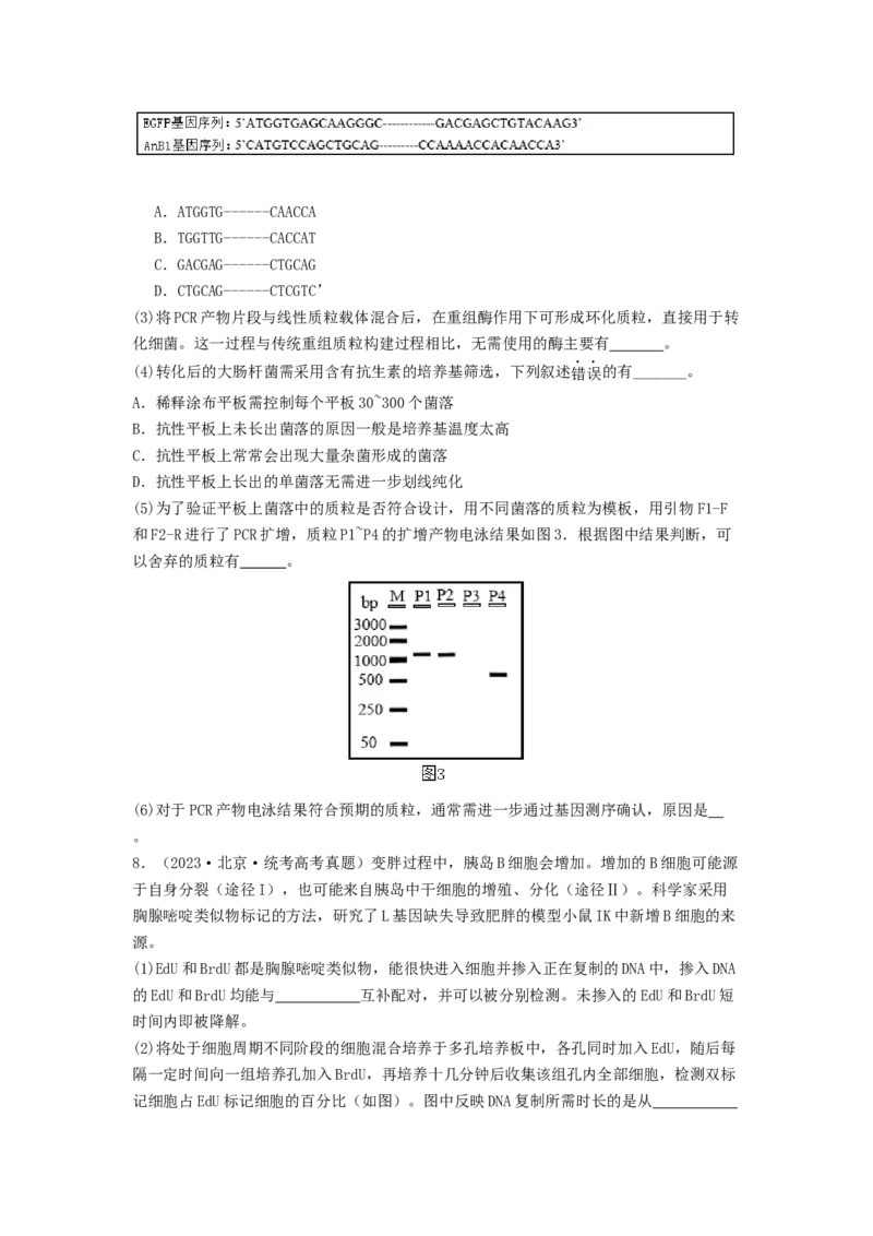 专题24基因工程（原卷版）_2024年新高考资料_1.2024一轮复习_备战2024年高考生物一轮复习抢分特训（全国通用）_专题24基因工程-备战2024年高考生物一轮复习抢分特训（全国通用）