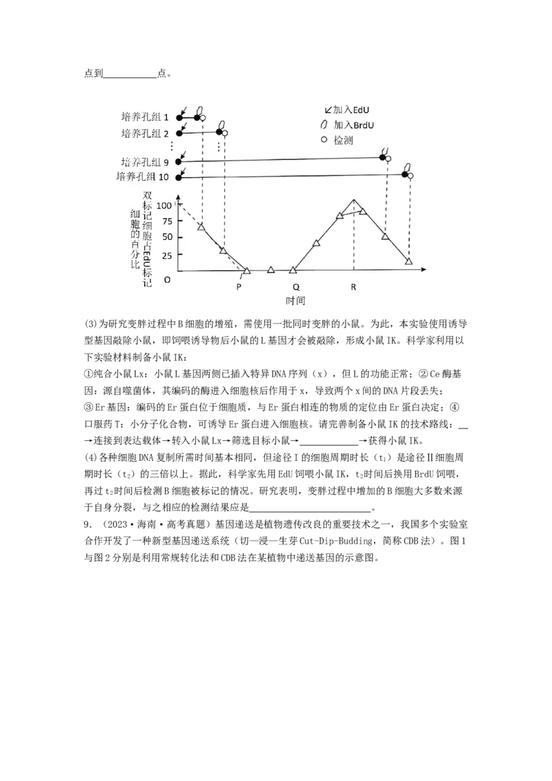 专题24基因工程（原卷版）_2024年新高考资料_1.2024一轮复习_备战2024年高考生物一轮复习抢分特训（全国通用）_专题24基因工程-备战2024年高考生物一轮复习抢分特训（全国通用）