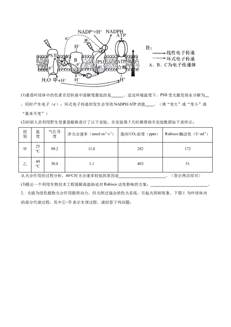 押新高考卷分子与细胞（原卷版）-备战2024年高考生物临考题号押题（新高考通用）(2)_2024年新高考资料_5.2024三轮冲刺_备战2024年高考生物临考题号押题（新高考通用）322745222