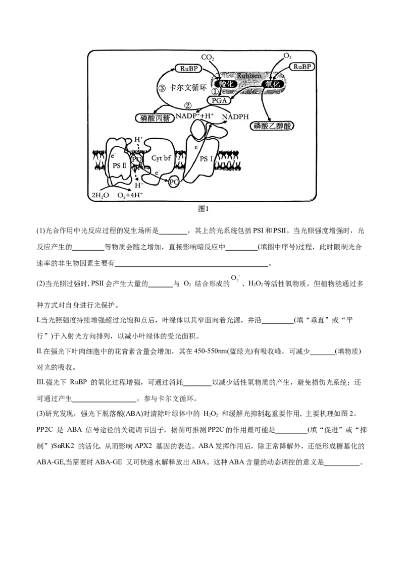 押新高考卷分子与细胞（原卷版）-备战2024年高考生物临考题号押题（新高考通用）(2)_2024年新高考资料_5.2024三轮冲刺_备战2024年高考生物临考题号押题（新高考通用）322745222