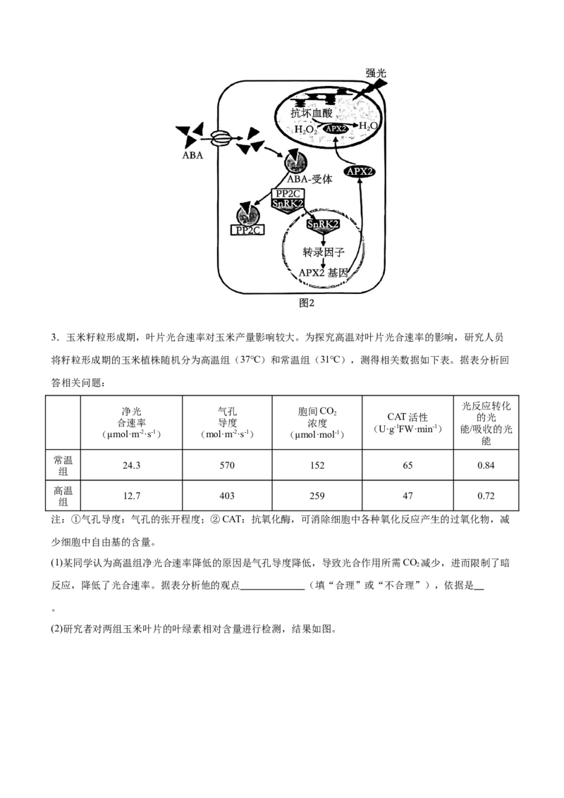 押新高考卷分子与细胞（原卷版）-备战2024年高考生物临考题号押题（新高考通用）(2)_2024年新高考资料_5.2024三轮冲刺_备战2024年高考生物临考题号押题（新高考通用）322745222