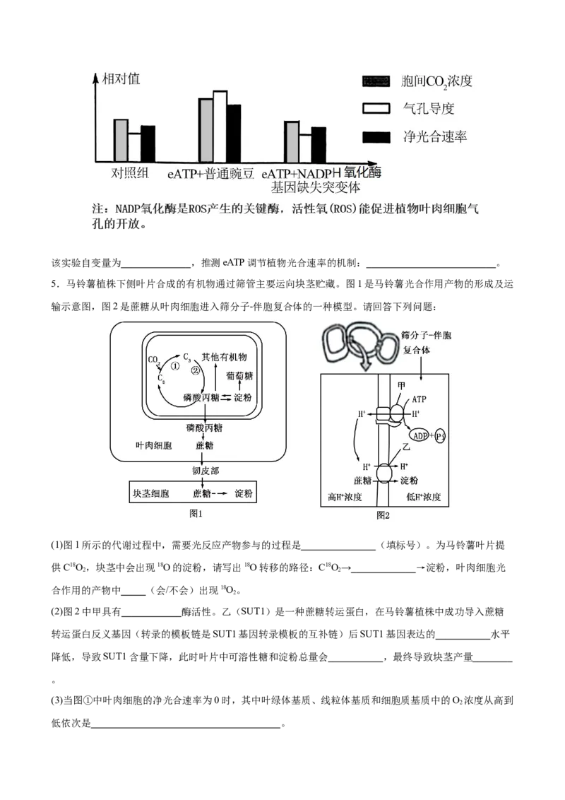 押新高考卷分子与细胞（原卷版）-备战2024年高考生物临考题号押题（新高考通用）(2)_2024年新高考资料_5.2024三轮冲刺_备战2024年高考生物临考题号押题（新高考通用）322745222