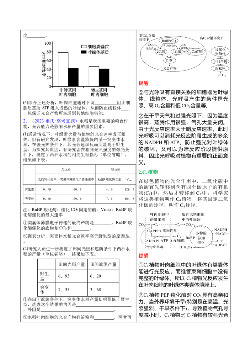 押新高考卷分子与细胞（原卷版）-备战2024年高考生物临考题号押题（新高考通用）(2)_2024年新高考资料_5.2024三轮冲刺_备战2024年高考生物临考题号押题（新高考通用）322745222