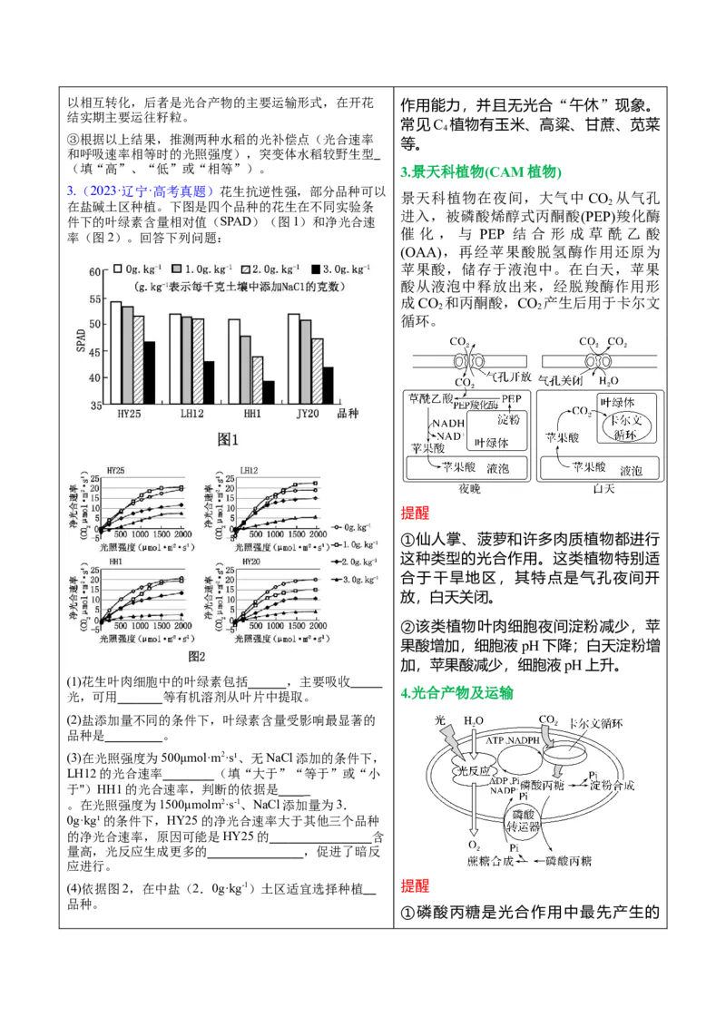 押新高考卷分子与细胞（原卷版）-备战2024年高考生物临考题号押题（新高考通用）(2)_2024年新高考资料_5.2024三轮冲刺_备战2024年高考生物临考题号押题（新高考通用）322745222