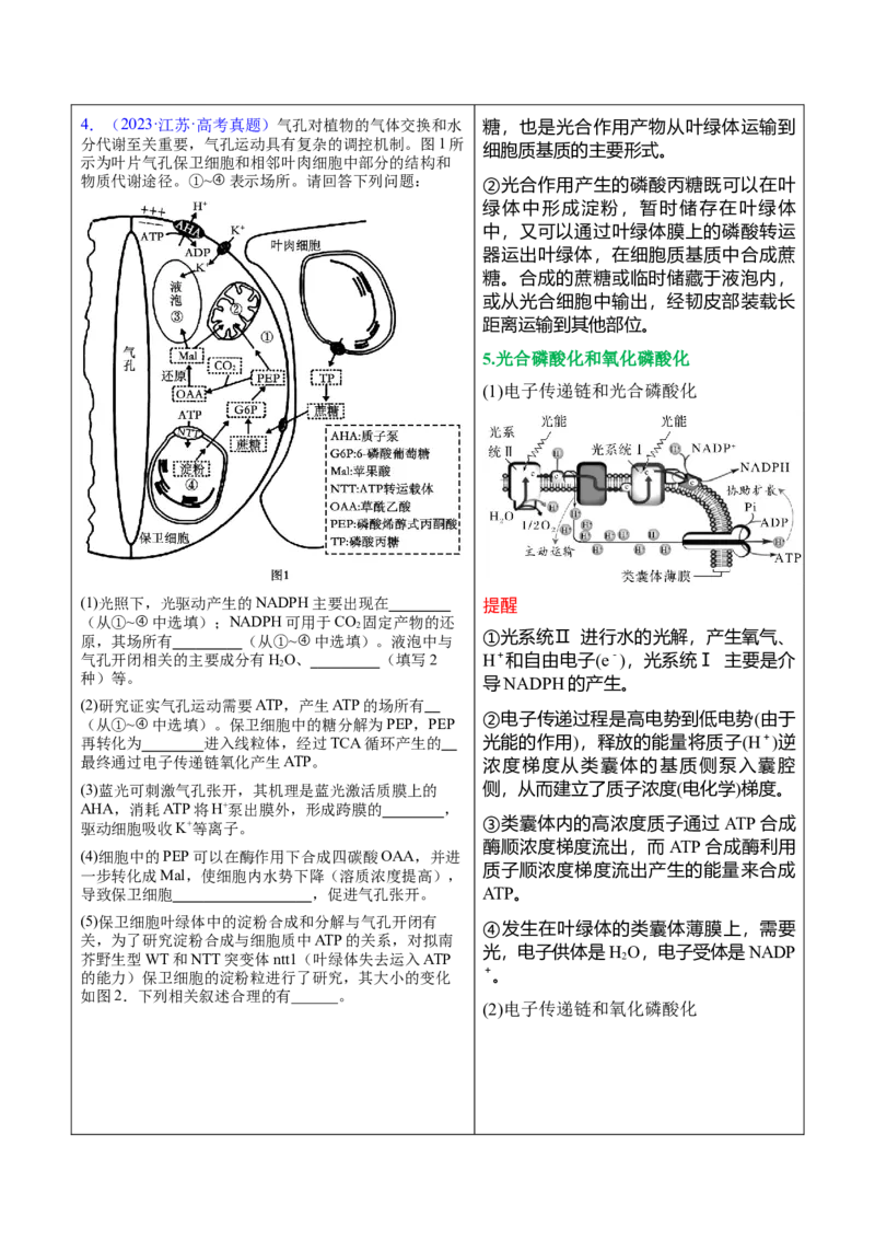 押新高考卷分子与细胞（原卷版）-备战2024年高考生物临考题号押题（新高考通用）(2)_2024年新高考资料_5.2024三轮冲刺_备战2024年高考生物临考题号押题（新高考通用）322745222