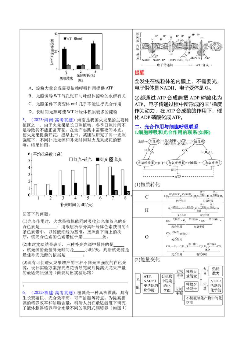 押新高考卷分子与细胞（原卷版）-备战2024年高考生物临考题号押题（新高考通用）(2)_2024年新高考资料_5.2024三轮冲刺_备战2024年高考生物临考题号押题（新高考通用）322745222