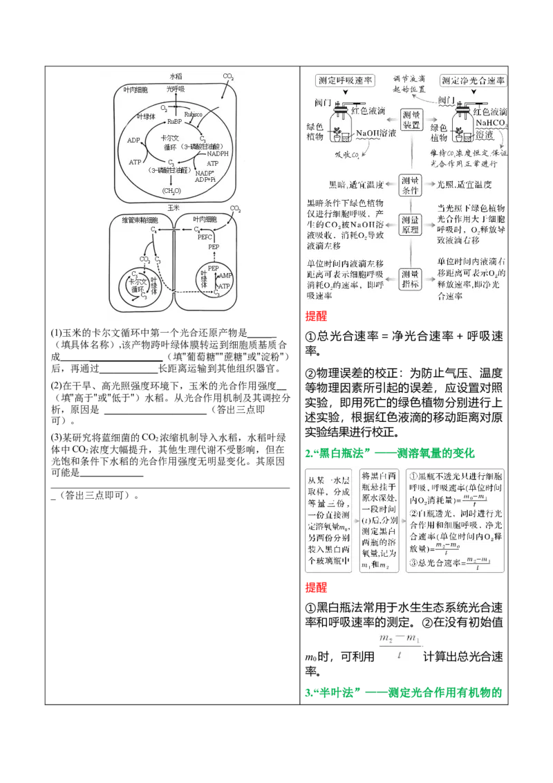 押新高考卷分子与细胞（原卷版）-备战2024年高考生物临考题号押题（新高考通用）(2)_2024年新高考资料_5.2024三轮冲刺_备战2024年高考生物临考题号押题（新高考通用）322745222