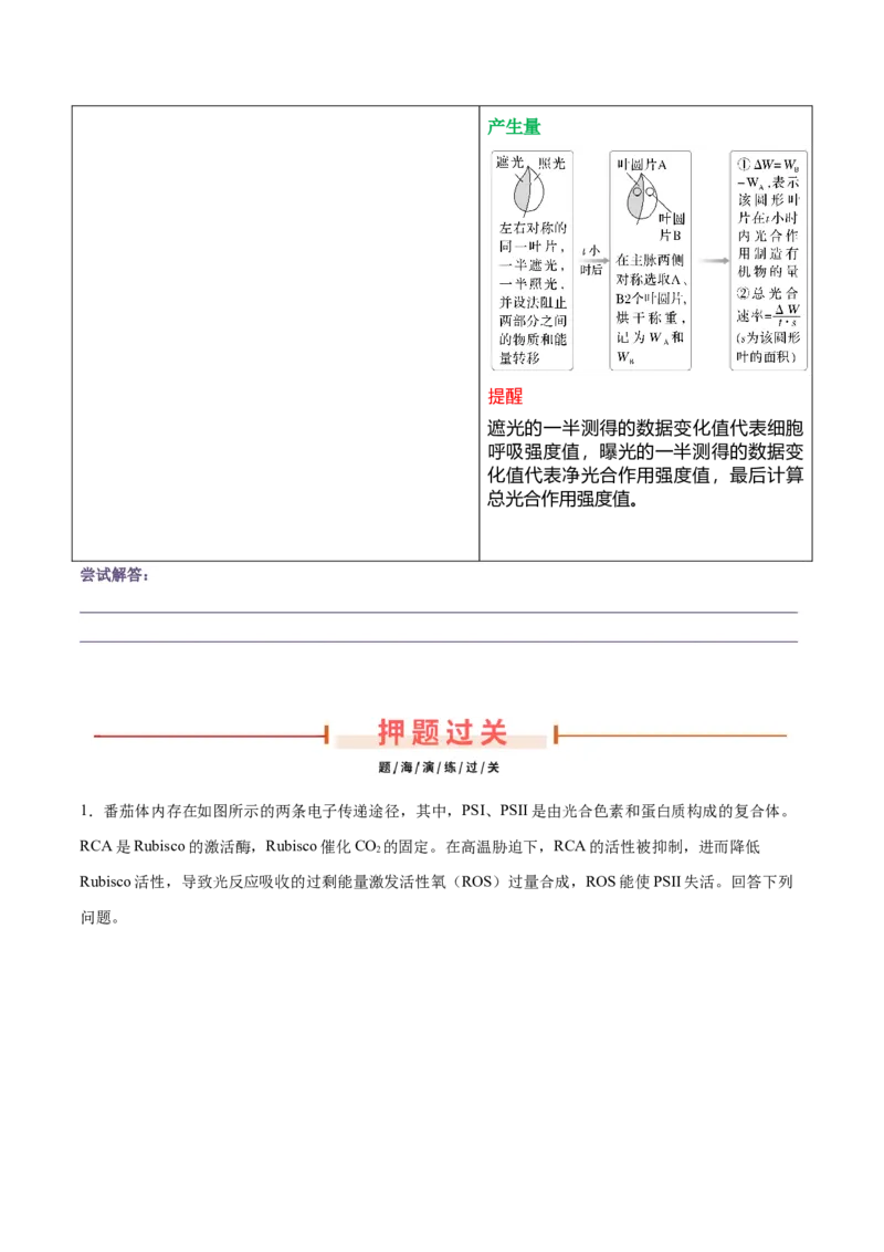 押新高考卷分子与细胞（原卷版）-备战2024年高考生物临考题号押题（新高考通用）(2)_2024年新高考资料_5.2024三轮冲刺_备战2024年高考生物临考题号押题（新高考通用）322745222