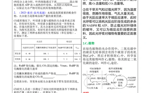 押新高考卷分子与细胞（原卷版）-备战2024年高考生物临考题号押题（新高考通用）(2)_2024年新高考资料_5.2024三轮冲刺_备战2024年高考生物临考题号押题（新高考通用）322745222