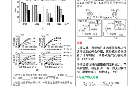押新高考卷分子与细胞（原卷版）-备战2024年高考生物临考题号押题（新高考通用）(2)_2024年新高考资料_5.2024三轮冲刺_备战2024年高考生物临考题号押题（新高考通用）322745222