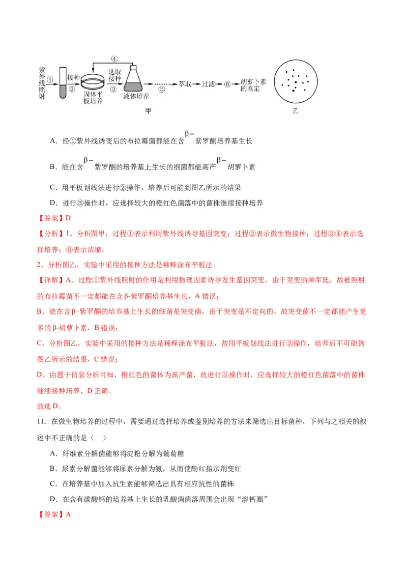 专题39微生物的培养技术和应用（解析版）_2024年新高考资料_3.2024专项复习_备战2024年高考生物一轮复习重难点专项突破