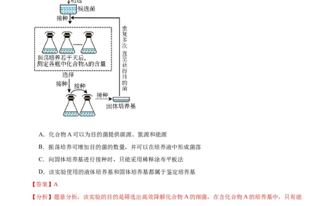 专题39微生物的培养技术和应用（解析版）_2024年新高考资料_3.2024专项复习_备战2024年高考生物一轮复习重难点专项突破