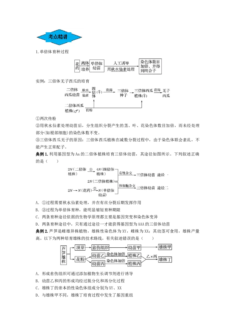 专题21染色体变异与育种（串讲）（原卷版）_2024年新高考资料_1.2024一轮复习_备战2024年高考生物一轮复习串讲精练（新高考专用）