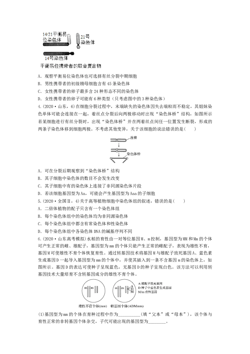 专题21染色体变异与育种（串讲）（原卷版）_2024年新高考资料_1.2024一轮复习_备战2024年高考生物一轮复习串讲精练（新高考专用）