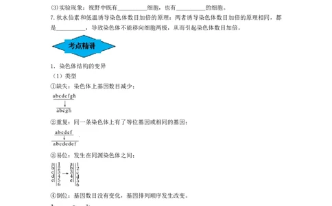 专题21染色体变异与育种（串讲）（原卷版）_2024年新高考资料_1.2024一轮复习_备战2024年高考生物一轮复习串讲精练（新高考专用）