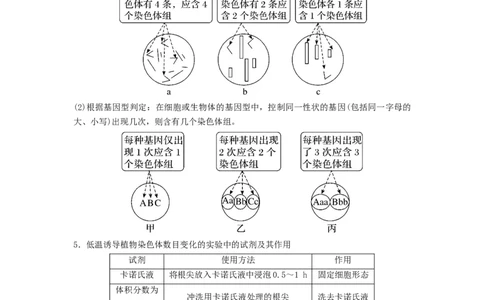 专题21染色体变异与育种（串讲）（原卷版）_2024年新高考资料_1.2024一轮复习_备战2024年高考生物一轮复习串讲精练（新高考专用）