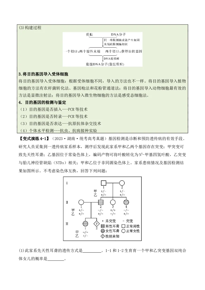 专题07遗传变异（解析版）_2024年新高考资料_2.2024二轮复习_2024年高考生物二轮热点题型归纳与变式演练（新高考通用）